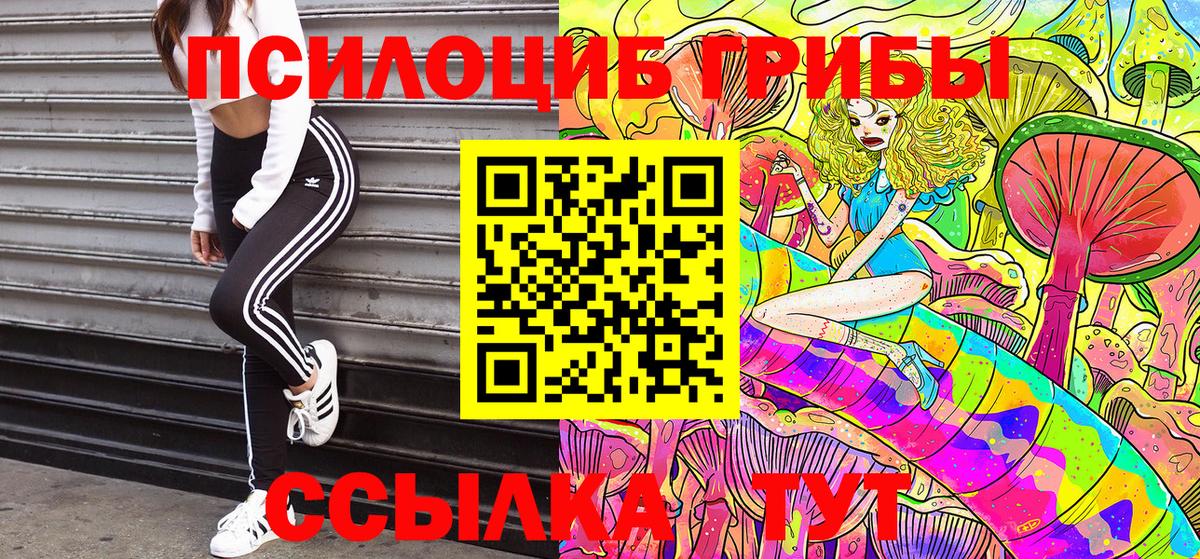 Псилоцибиновые грибы Cubensis  Вход с VPN  Великий Устюг  Галлюциногенные грибы Psilocybine cubensis 